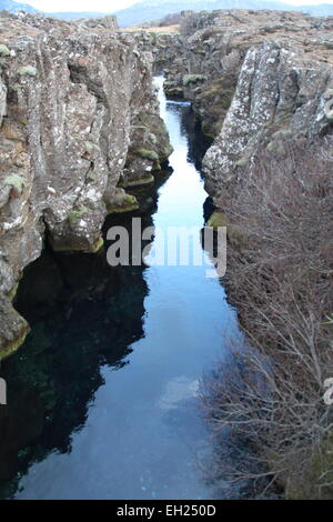 Un lac dans la fissure de la croûte terrestre causée par la dorsale médio-atlantique Le Parc National de Thingvellir Islande Banque D'Images