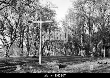 Une photographie noir et blanc d'une forêt mystique avec une croix dans l'avant-plan Banque D'Images