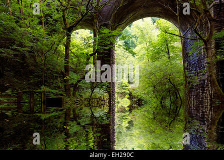 Le viaduc de chemin de fer de Chee dale Derbyshire england UK.reflétait dans un bassin d'eau créé numériquement Banque D'Images