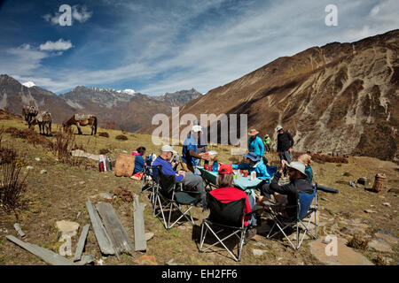 BU00253-00...BHOUTAN - Trekkers préparent à manger le déjeuner dans une clairière au-dessous de la Takhung (col). Banque D'Images