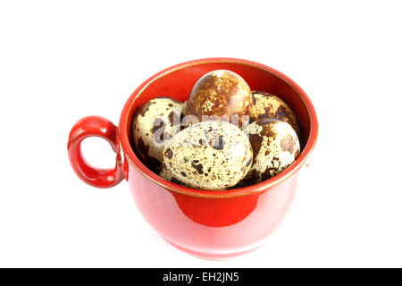 Les petits oeufs de caille en rouge sur blanc mug Banque D'Images