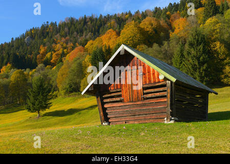 Grange à foin en automne, près de Garmisch-Partenkirchen, Werdenfelser Land, Upper Bavaria, Bavaria, Germany Banque D'Images