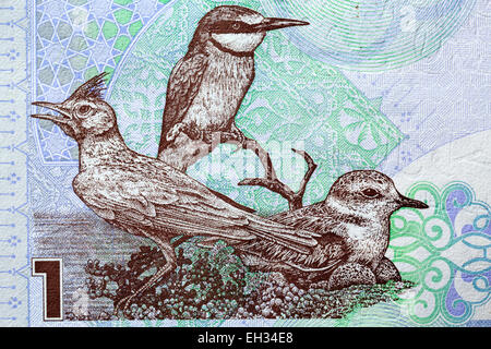 Galerida cristata Qatar : les oiseaux ; Merops apiaster ; Charadrius mongolus de 1 billets riyal du Qatar, 2003 Banque D'Images