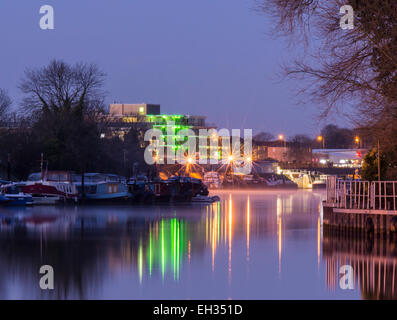 Vue sur la Tamise à Surbiton, Surrey, avec le bord des corbeaux Aci island Banque D'Images