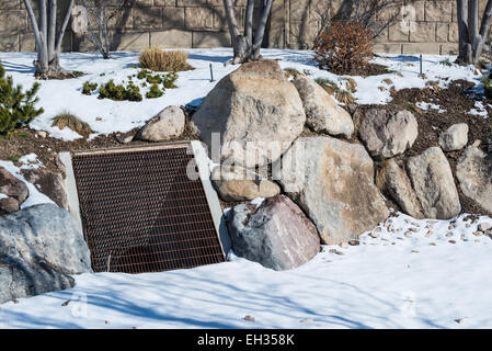 Un collecteur d'eaux pluviales à l'intérieur d'un bioswale et jardin de pluie en hiver Banque D'Images