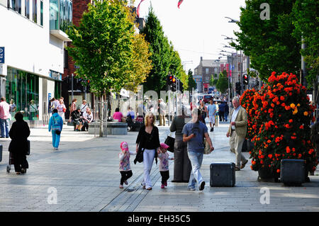 Limerick est une ville d'Irlande. Il est situé dans la région du Midwest et fait également partie de la province de Munster. Banque D'Images