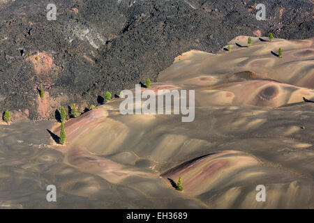 Les Dunes, peint par oxydation de couleur de cendres et les cendres, vu de la jante de Cinder Cone, à la fin de la les suies, Con Banque D'Images