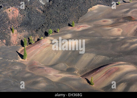 Les Dunes, peint par oxydation de couleur de cendres et les cendres, vu de la jante de Cinder Cone, à la fin de la les suies, Con Banque D'Images