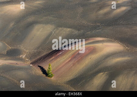 Les Dunes, peint par oxydation de couleur de cendres et les cendres, vu de la jante de Cinder Cone, à la fin de la les suies, Con Banque D'Images