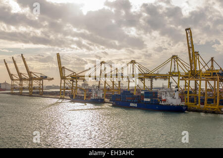 Grues à conteneurs dans le Port de Barcelone ( Port de Barcelona, Puerto de Barcelona, Espagne) Banque D'Images