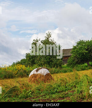 Botte dans un jardin. Banque D'Images