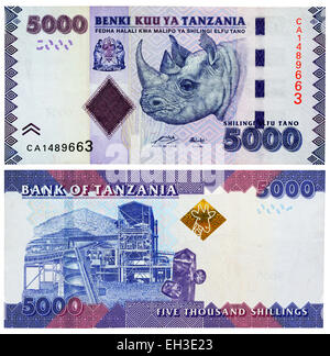 Billet de 5000 shillings, le rhinocéros noir, la mine d'or de Geita, Tanzanie, 2010 Banque D'Images
