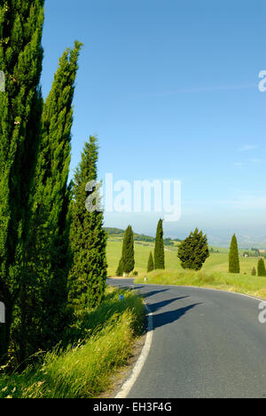 Cyprès le long de routes de campagne, Monticchiello (site du patrimoine mondial de l'UNESCO), Val d'Orcia, Toscane, Italie Banque D'Images