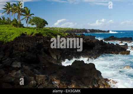 Côte au Waianapanapa State Park, Maui, Hawaii Banque D'Images