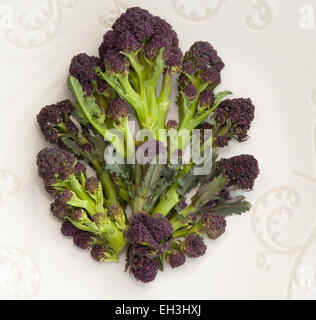 Purple Sprouting brocoli sur une plaque blanche. Banque D'Images