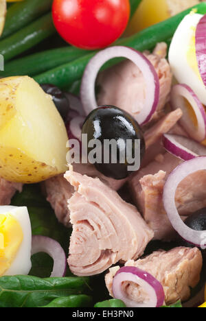 Salade de thon frais vert avec pomme de terre nouvelle. Banque D'Images