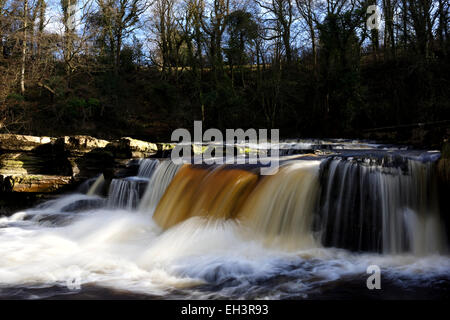 Les modèles de l'eau au débit rapide, Richmond Falls, Swaledale, Yorkshire, Angleterre Banque D'Images