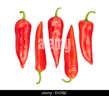 Poivre rouge isolé Banque D'Images