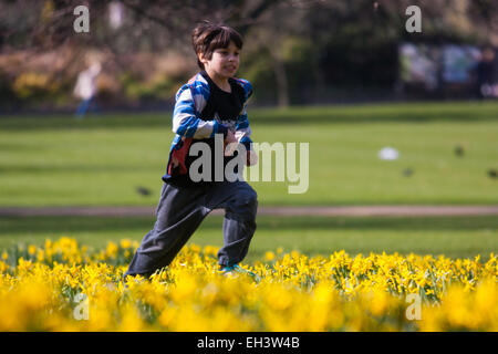 Londres, 6 mars 2015. Les Londoniens et les touristes profiter de la chaleur du soleil à St James's Park que les jonquilles fleurissent, annonçant l'approche du printemps. Sur la photo : neuf exubérante ans Rowan traverse les jonquilles. © Paul Davey/Alamy Live News Banque D'Images