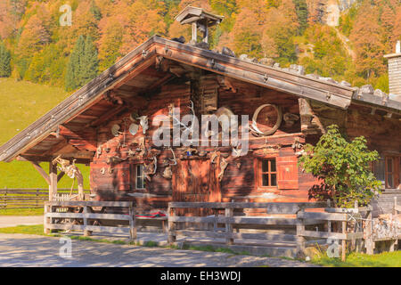 Cabane dans le centre du village sur l'érable retour Banque D'Images