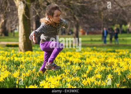 Londres, 6 mars 2015. Les Londoniens et les touristes profiter de la chaleur du soleil à St James's Park que les jonquilles fleurissent, annonçant l'approche du printemps. Sur la photo : sept ans parmi les jonquilles romps Stella. Crédit : Paul Davey/Alamy Live News Banque D'Images