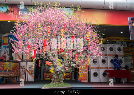 Fleurs, bonsai en dehors d'un centre commercial. Populaires à afficher pour les Tet,vacances de printemps,Nouvel An lunaire, Hanoi, Vietnam, Banque D'Images