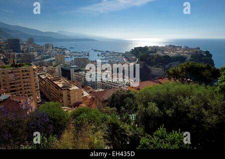 Principauté de Monaco, Monaco, le jardin exotique avec une très grande variété d'espèces de plantes succulentes, le Rocher à l'arrière-plan Banque D'Images