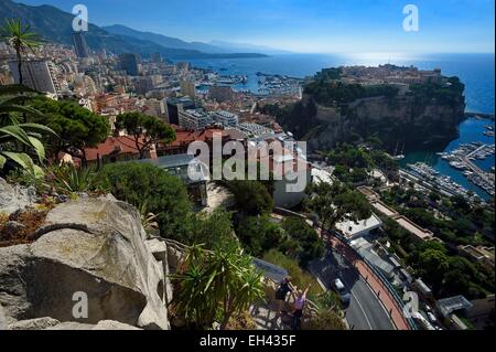 Principauté de Monaco, Monaco, le jardin exotique avec une très grande variété d'espèces de plantes succulentes, le Rocher à l'arrière-plan Banque D'Images