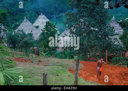 Panama, province de Darién, Darien National Park, classé au Patrimoine Mondial par l'UNESCO, la communauté indigène Embera, jeune homme Embera et travail de la terre dans un village traditionnel Banque D'Images