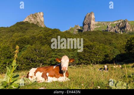 France, Puy de Dome, Chambon sur Lac, Parc naturel régional des volcans d'Auvergne, massif du Sancy, réserve naturelle de la Vallée de Chaudefour, à gauche le rocher de l'CrΩte de Coq et au centre la roche de la dent de la rancune, purebr Banque D'Images