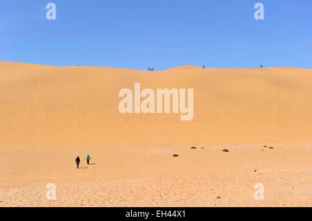 La Namibie, région d'Erongo, Swakopmund, Long Beach, dunes de sable dans le désert de Namib Banque D'Images