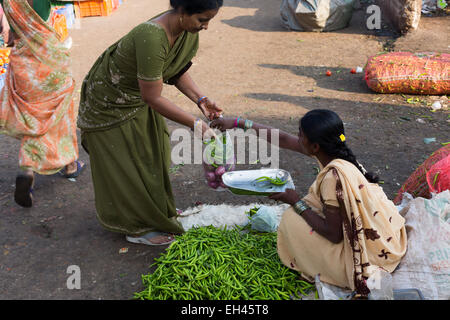 Légumes du marché en Inde Banque D'Images