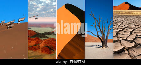 Le désert du Namib en Namibie, l'Afrique australe. Banque D'Images