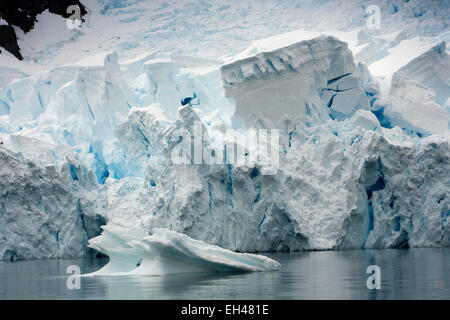 L'antarctique, Paradise Bay, fin de la rupture dans la mer pour former des icebergs Banque D'Images