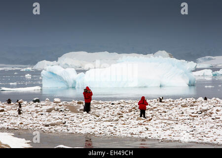 L'antarctique, Neko Harbour, les visiteurs l'affichage manchots parmi des roches couvertes de neige Banque D'Images