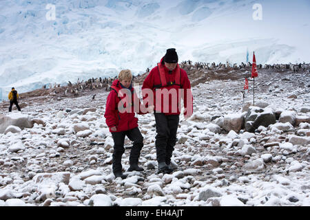 L'antarctique, Neko Harbour, les passagers des bateaux de croisière balade autour de colonie de pingouins gentoo dans la neige Banque D'Images