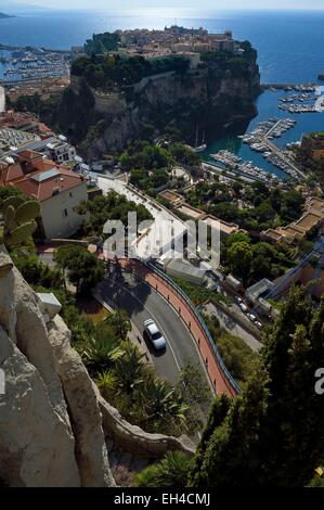 Principauté de Monaco, Monaco, le jardin exotique avec une très grande variété d'espèces de plantes succulentes, le rock et le port de Fontvieille en arrière-plan Banque D'Images