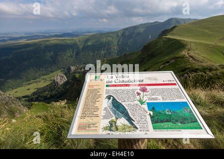 France, Puy de Dome, Chambon sur Lac, Parc naturel régional des volcans d'Auvergne, massif du Sancy, la réserve naturelle de la Vallée de Chaudefour, le panneau d'interprétation sur le GR4 , le chemin de crêtes sur la Vallée de Chaudefour Banque D'Images