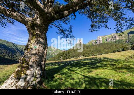 France, Puy de Dome, Chambon sur Lac, Parc naturel régional des volcans d'Auvergne, massif du Sancy, la réserve naturelle de la Vallée de Chaudefour, dans le centre du rocher de l'CrΩte de coq et dans la droite le rocher de la dent de la rancune Banque D'Images