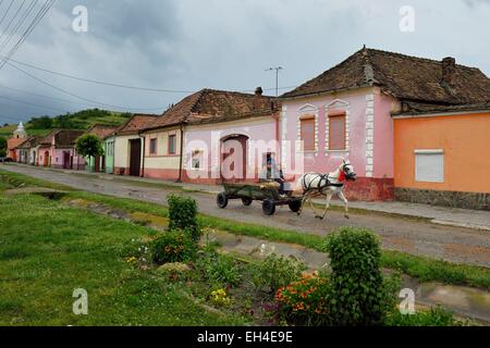 La Roumanie, la Transylvanie, transport de chevaux dans le village de Brateiu Banque D'Images