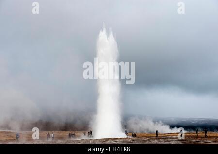 L'Islande, Sudurland, région de la vallée de Haukadalur, site Geysir, le geyser Strokkur Banque D'Images