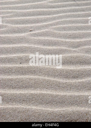 Grain, modèle de sable blanc avec des vagues et des lignes créées par l'ombre et la lumière Banque D'Images