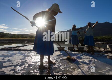 L'Ile Maurice, Rivière Noire, Petite rivière noire la récolte du sel, la saline Banque D'Images