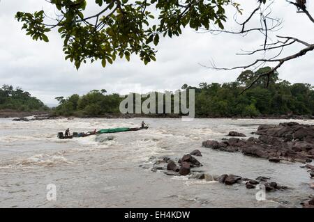 France, Guyane, Parc amazonien de Guyane (Parc amazonien de la Guyane), l'abattis Cottica, bateliers à bord d'une pirogue dans les rapides (saut) Lesse Dede marquant la fin de l'abattis Cottica Banque D'Images