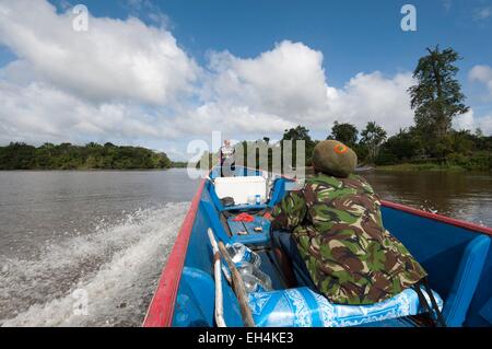 République du Suriname, navigation pirogue sur la rivière Tapanahony un affluent du fleuve Maroni Banque D'Images