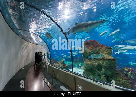 Espagne, Catalogne, Barcelone, l'Aquarium du centre commercial Maremagnum Banque D'Images