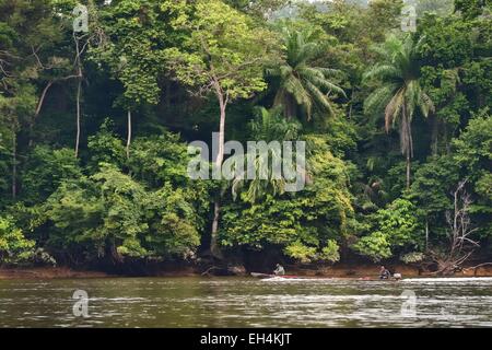 Le Gabon, Moyen-Ogooue, Lambaréné Province Région, canoë motorisé en remontant le fleuve Ogooue Banque D'Images