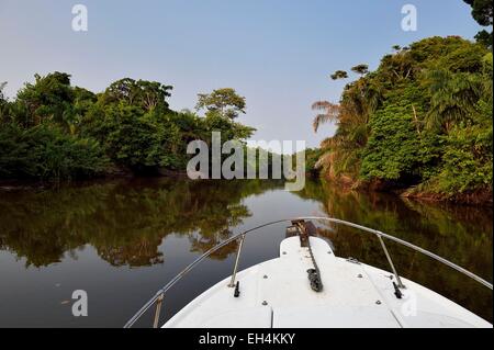 Le Gabon, Ogooue-Maritime Province, l'une des nombreuses rivières du Fernan Vaz (lagune Nkomi) Banque D'Images