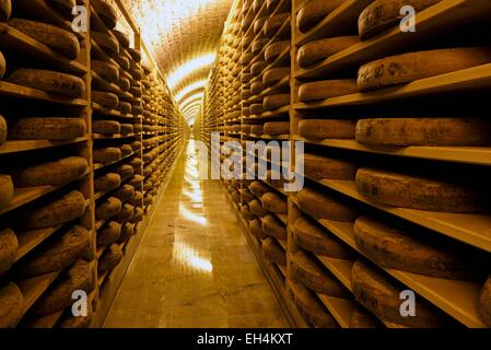 France, Jura, Les Rousses Fort des Rousses, datée du 19e siècle, fromagerie Arnaud Juraflore, roues de Comte de raffinage Banque D'Images