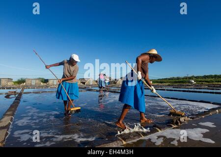 L'Ile Maurice, Rivière Noire, Petite rivière noire la récolte du sel, la saline Banque D'Images